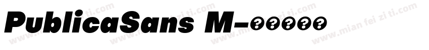 PublicaSans M字体转换